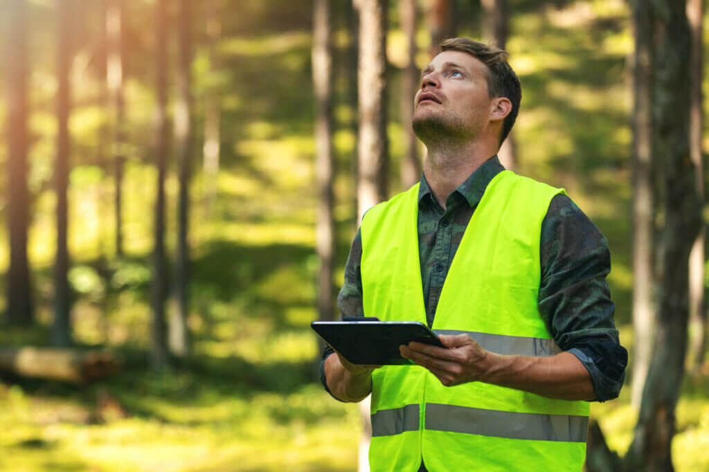 a forester creating a forest management plan