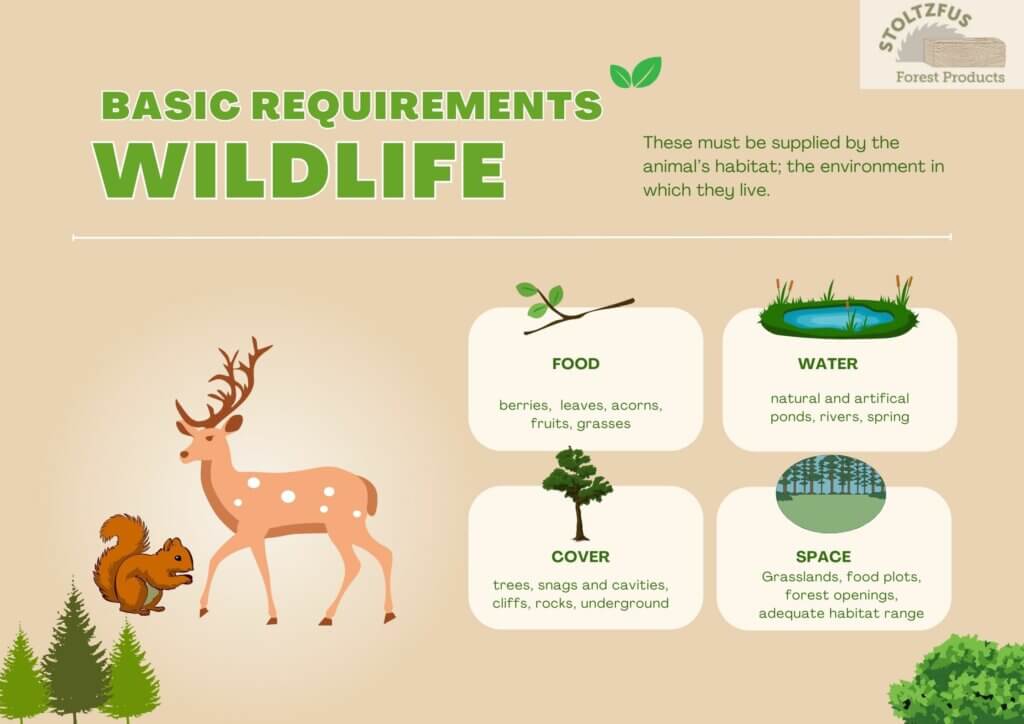 Wildlife basic requirements illustration