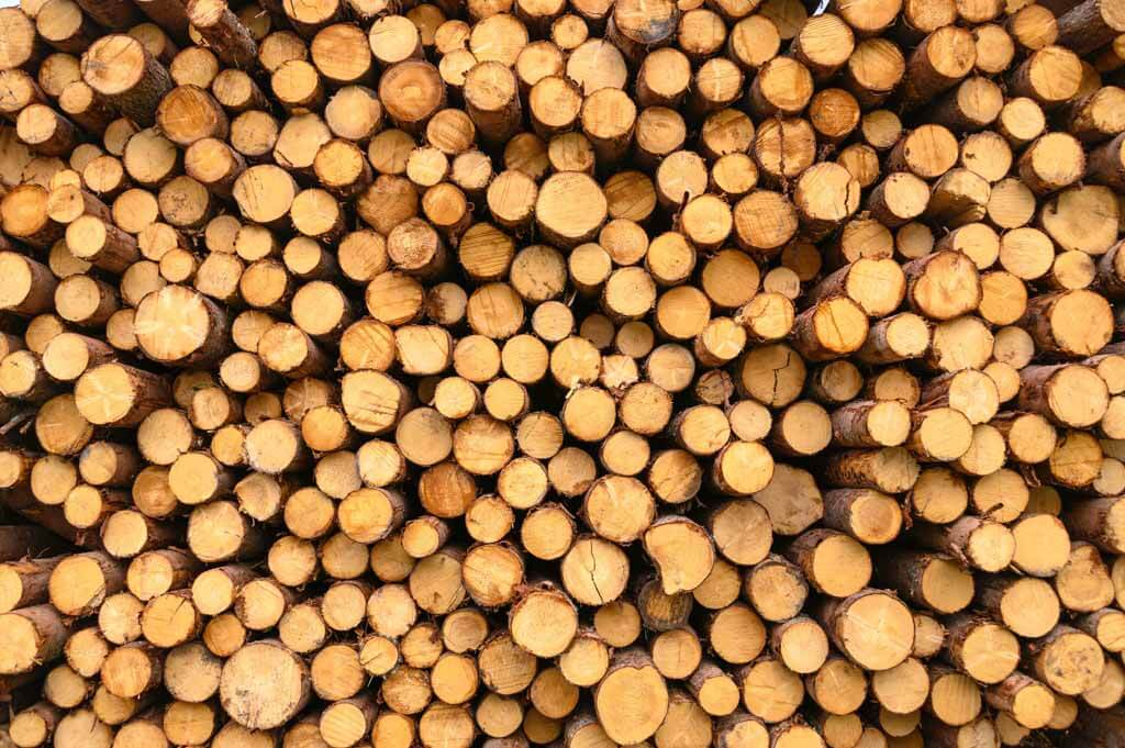 Read more about the article 5 things you need when selling the timber on your woodland 