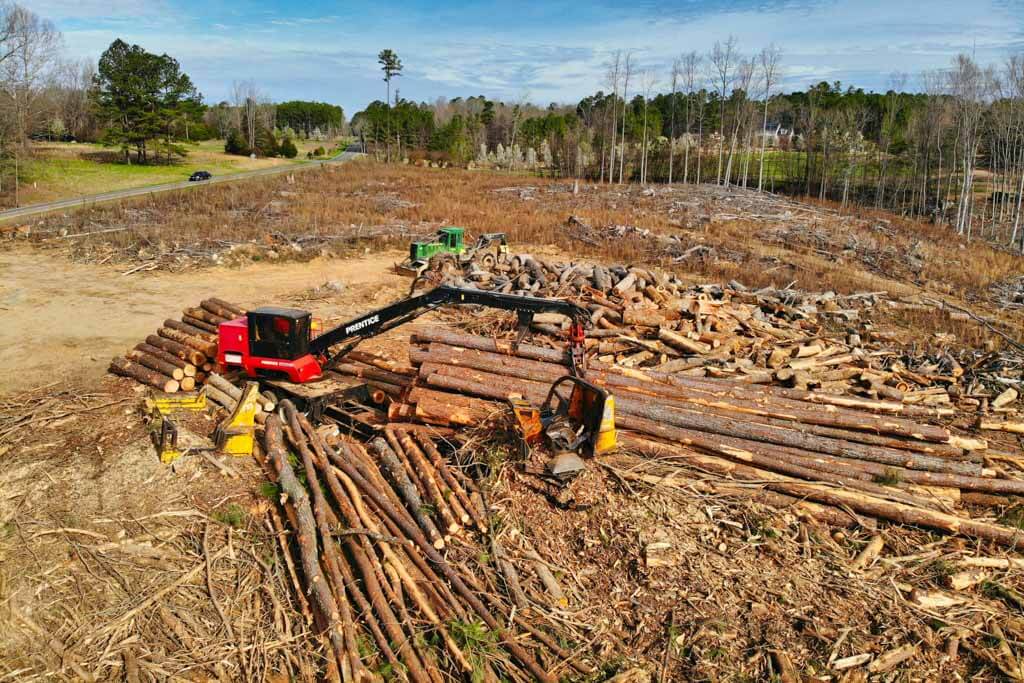 Read more about the article 4 Steps to Take After Harvesting Your Timberland