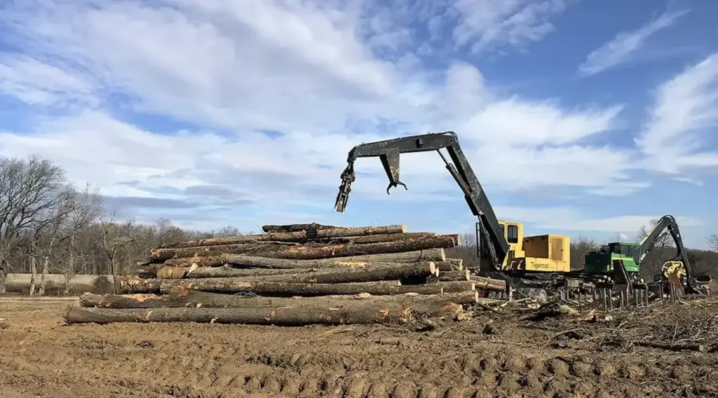 Two loaders moving a pile of logs