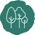 Forests Icon