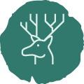 Wildlife Icon