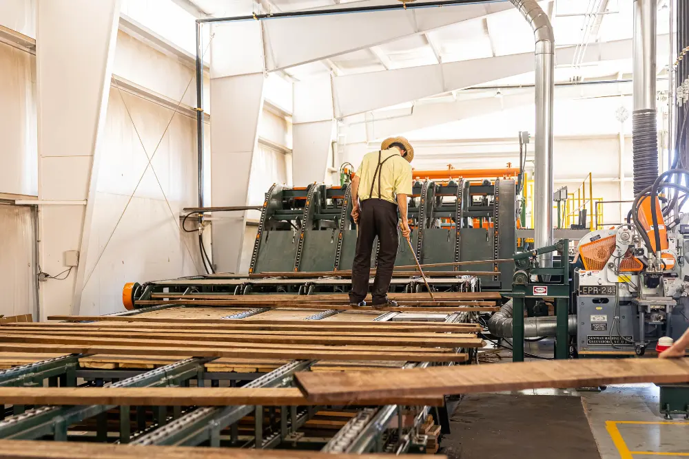 A Stoltzfus standing on lumber looking for imperfections